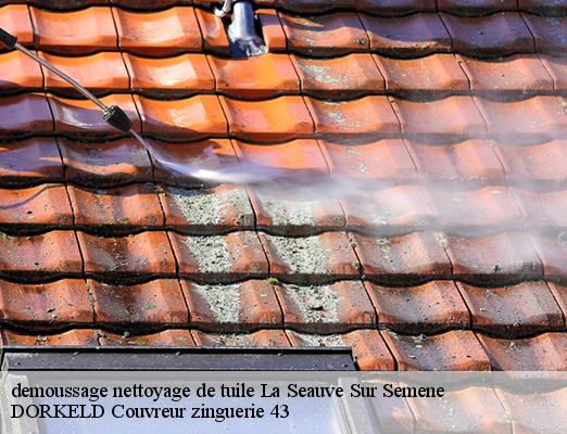 demoussage nettoyage de tuile  la-seauve-sur-semene-43140 DORKELD Couvreur zinguerie 43