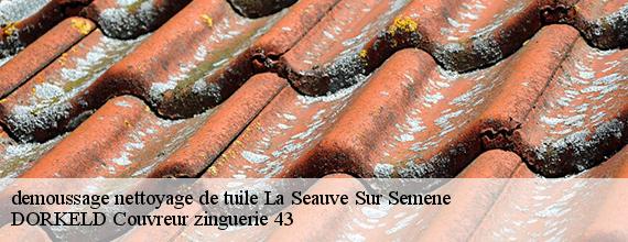demoussage nettoyage de tuile  la-seauve-sur-semene-43140 DORKELD Couvreur zinguerie 43