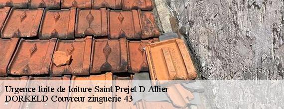 Urgence fuite de toiture  saint-prejet-d-allier-43580 DORKELD Couvreur zinguerie 43