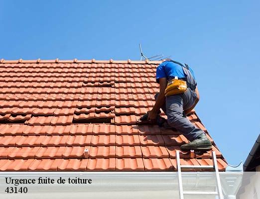 Urgence fuite de toiture  la-seauve-sur-semene-43140 DORKELD Couvreur zinguerie 43