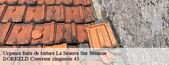 Urgence fuite de toiture  la-seauve-sur-semene-43140 DORKELD Couvreur zinguerie 43