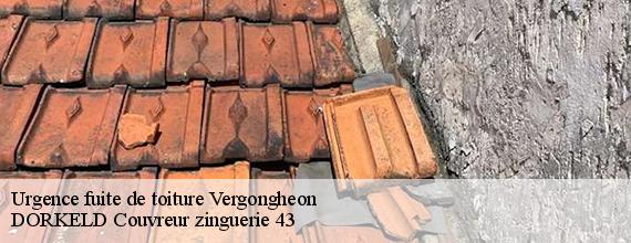 Urgence fuite de toiture  vergongheon-43360 DORKELD Couvreur zinguerie 43