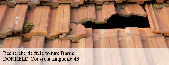 Recherche de fuite toiture  borne-43350 DORKELD Couvreur zinguerie 43