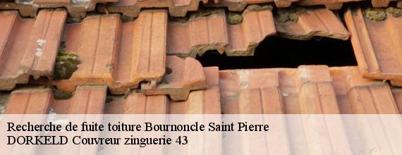 Recherche de fuite toiture  bournoncle-saint-pierre-43360 DORKELD Couvreur zinguerie 43