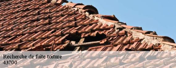 Recherche de fuite toiture  brives-charensac-43700 DORKELD Couvreur zinguerie 43
