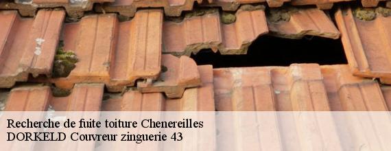 Recherche de fuite toiture  chenereilles-43190 DORKELD Couvreur zinguerie 43