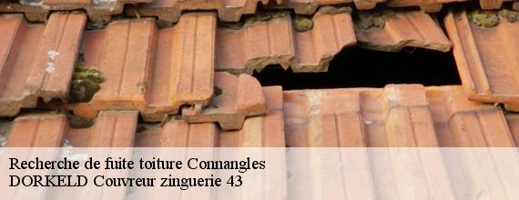 Recherche de fuite toiture  connangles-43160 DORKELD Couvreur zinguerie 43