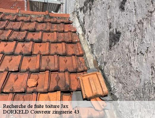Recherche de fuite toiture  jax-43230 DORKELD Couvreur zinguerie 43