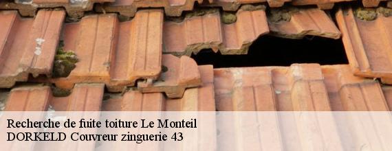 Recherche de fuite toiture  le-monteil-43700 DORKELD Couvreur zinguerie 43