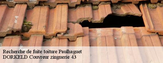 Recherche de fuite toiture  paulhaguet-43230 DORKELD Couvreur zinguerie 43