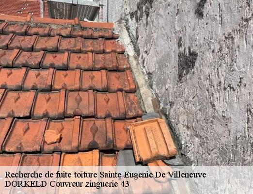 Recherche de fuite toiture  sainte-eugenie-de-villeneuve-43230 DORKELD Couvreur zinguerie 43
