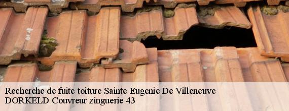 Recherche de fuite toiture  sainte-eugenie-de-villeneuve-43230 DORKELD Couvreur zinguerie 43