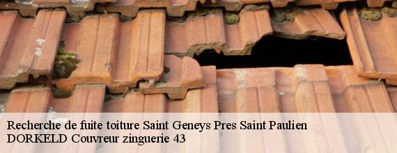 Recherche de fuite toiture  saint-geneys-pres-saint-paulien-43350 DORKELD Couvreur zinguerie 43