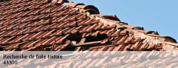 Recherche de fuite toiture  saint-julien-des-chazes-43300 DORKELD Couvreur zinguerie 43