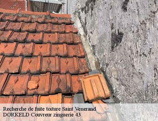 Recherche de fuite toiture  saint-venerand-43580 DORKELD Couvreur zinguerie 43