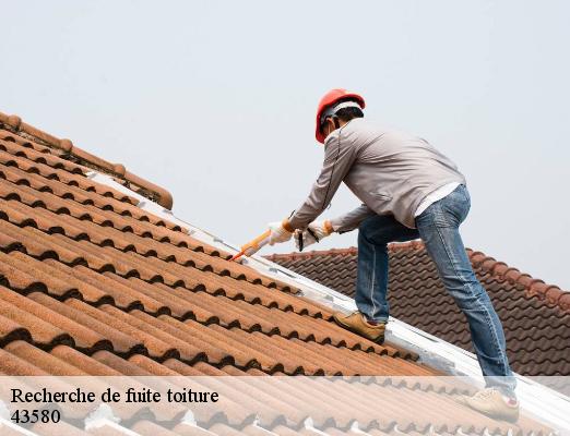 Recherche de fuite toiture  saint-venerand-43580 DORKELD Couvreur zinguerie 43