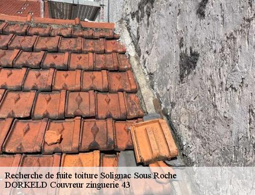 Recherche de fuite toiture  solignac-sous-roche-43130 DORKELD Couvreur zinguerie 43