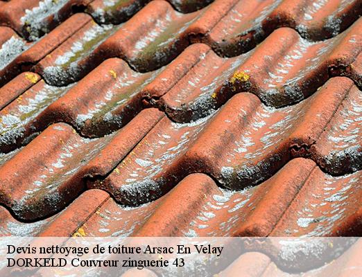 Devis nettoyage de toiture  arsac-en-velay-43700 DORKELD Couvreur zinguerie 43