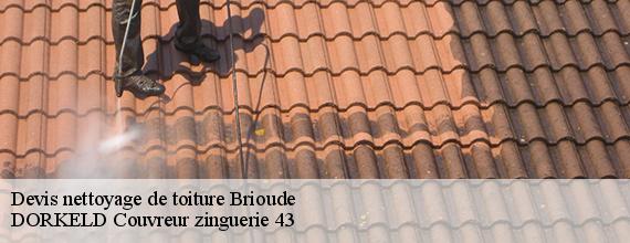 Devis nettoyage de toiture  brioude-43100 DORKELD Couvreur zinguerie 43
