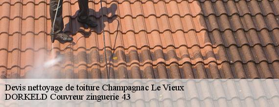 Devis nettoyage de toiture  champagnac-le-vieux-43440 DORKELD Couvreur zinguerie 43