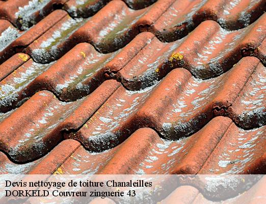 Devis nettoyage de toiture  chanaleilles-43170 DORKELD Couvreur zinguerie 43
