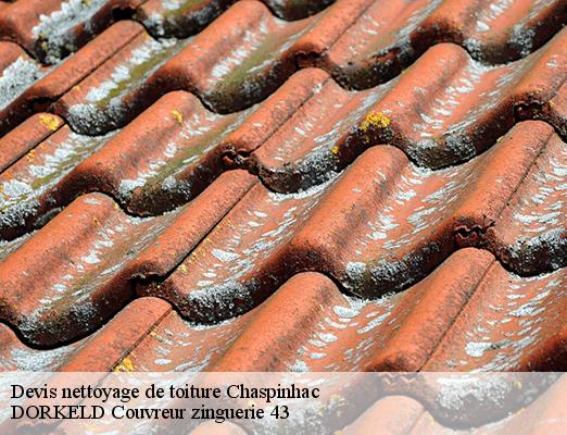 Devis nettoyage de toiture  chaspinhac-43700 DORKELD Couvreur zinguerie 43