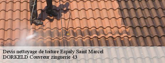 Devis nettoyage de toiture  espaly-saint-marcel-43000 DORKELD Couvreur zinguerie 43