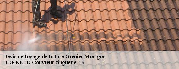 Devis nettoyage de toiture  grenier-montgon-43450 DORKELD Couvreur zinguerie 43