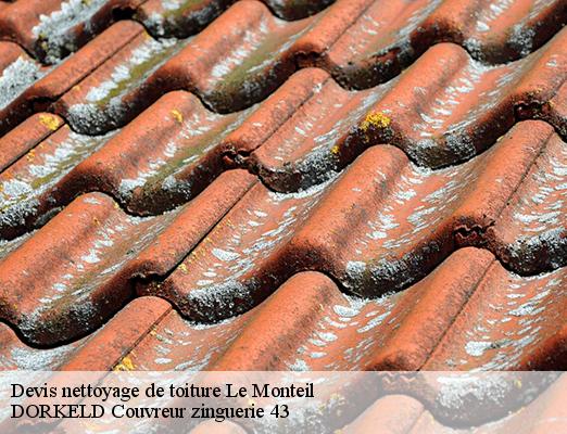 Devis nettoyage de toiture  le-monteil-43700 DORKELD Couvreur zinguerie 43