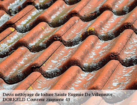 Devis nettoyage de toiture  sainte-eugenie-de-villeneuve-43230 DORKELD Couvreur zinguerie 43