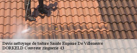 Devis nettoyage de toiture  sainte-eugenie-de-villeneuve-43230 DORKELD Couvreur zinguerie 43