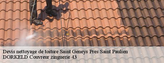 Devis nettoyage de toiture  saint-geneys-pres-saint-paulien-43350 DORKELD Couvreur zinguerie 43