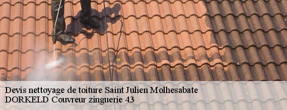 Devis nettoyage de toiture  saint-julien-molhesabate-43220 DORKELD Couvreur zinguerie 43