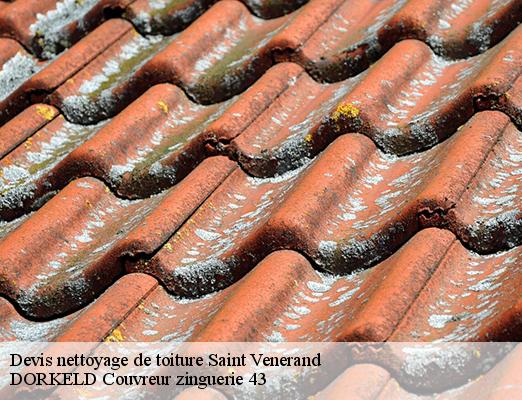 Devis nettoyage de toiture  saint-venerand-43580 DORKELD Couvreur zinguerie 43