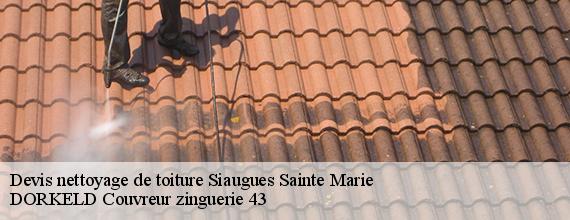 Devis nettoyage de toiture  siaugues-sainte-marie-43300 DORKELD Couvreur zinguerie 43