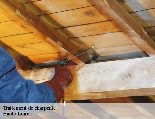 Traitement de charpente 43 Haute-Loire  DORKELD Couvreur zinguerie 43