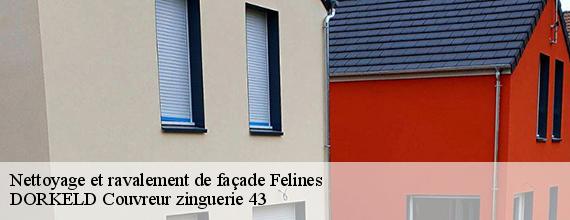 Nettoyage et ravalement de façade  felines-43160 DORKELD Couvreur zinguerie 43