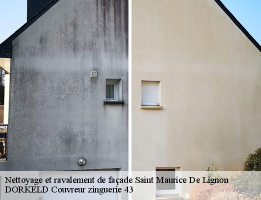 Nettoyage et ravalement de façade  saint-maurice-de-lignon-43200 DORKELD Couvreur zinguerie 43