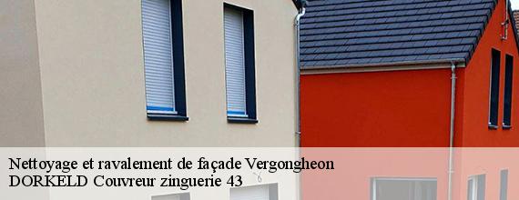 Nettoyage et ravalement de façade  vergongheon-43360 DORKELD Couvreur zinguerie 43