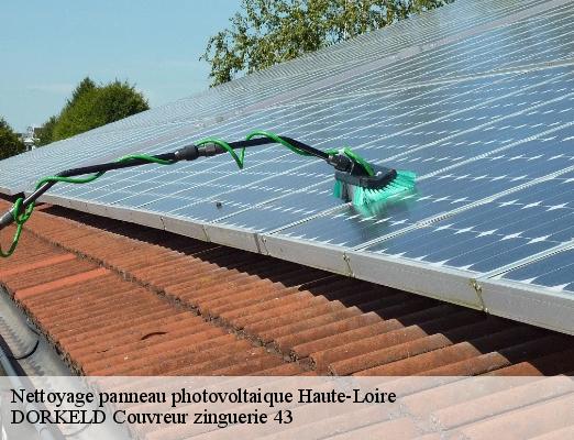 Nettoyage panneau photovoltaique 43 Haute-Loire  DORKELD Couvreur zinguerie 43