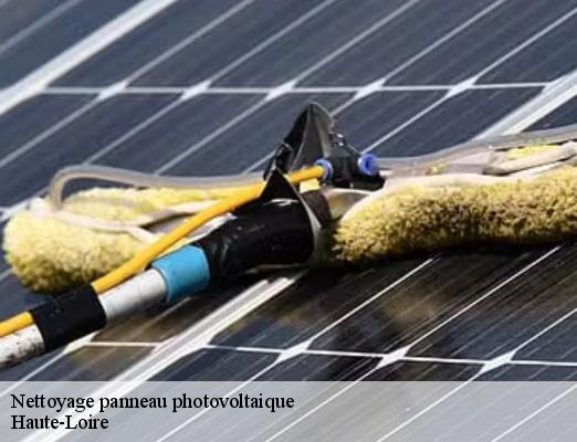 Nettoyage panneau photovoltaique 43 Haute-Loire  DORKELD Couvreur zinguerie 43