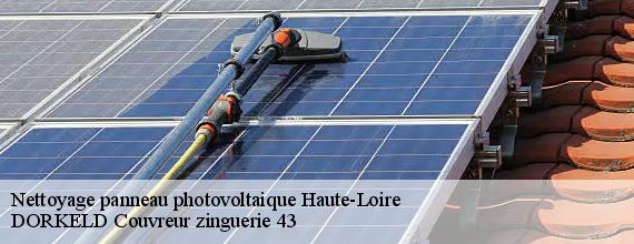 Nettoyage panneau photovoltaique 43 Haute-Loire  DORKELD Couvreur zinguerie 43