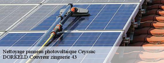 Nettoyage panneau photovoltaique  ceyssac-43000 DORKELD Couvreur zinguerie 43