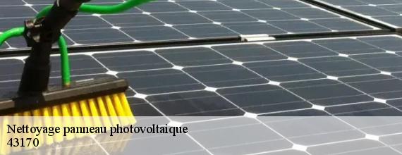 Nettoyage panneau photovoltaique  chanaleilles-43170 DORKELD Couvreur zinguerie 43