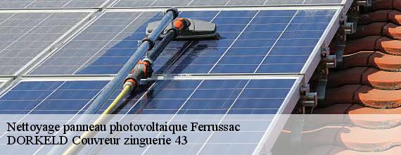 Nettoyage panneau photovoltaique  ferrussac-43300 DORKELD Couvreur zinguerie 43