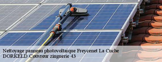 Nettoyage panneau photovoltaique  freycenet-la-cuche-43150 DORKELD Couvreur zinguerie 43