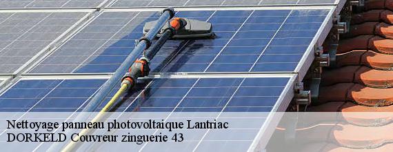 Nettoyage panneau photovoltaique  lantriac-43260 DORKELD Couvreur zinguerie 43