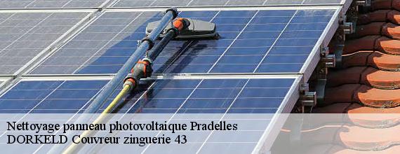 Nettoyage panneau photovoltaique  pradelles-43420 DORKELD Couvreur zinguerie 43