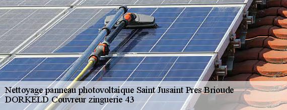 Nettoyage panneau photovoltaique  saint-jusaint-pres-brioude-43100 DORKELD Couvreur zinguerie 43