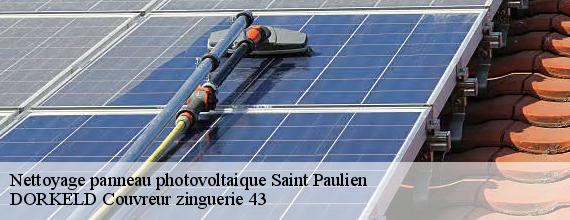 Nettoyage panneau photovoltaique  saint-paulien-43350 DORKELD Couvreur zinguerie 43